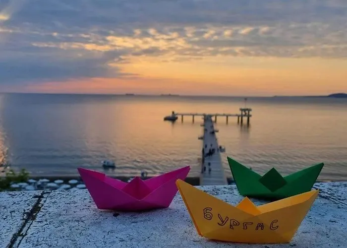 招待所 瑟索尼南布尔加斯酒店