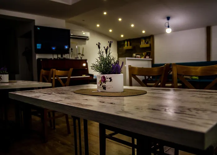 招待所 瑟索尼南布尔加斯酒店