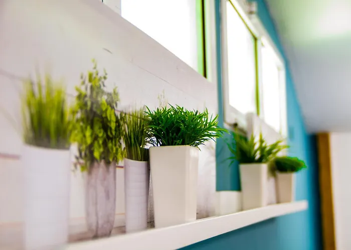 сезони юг 2* Бургас