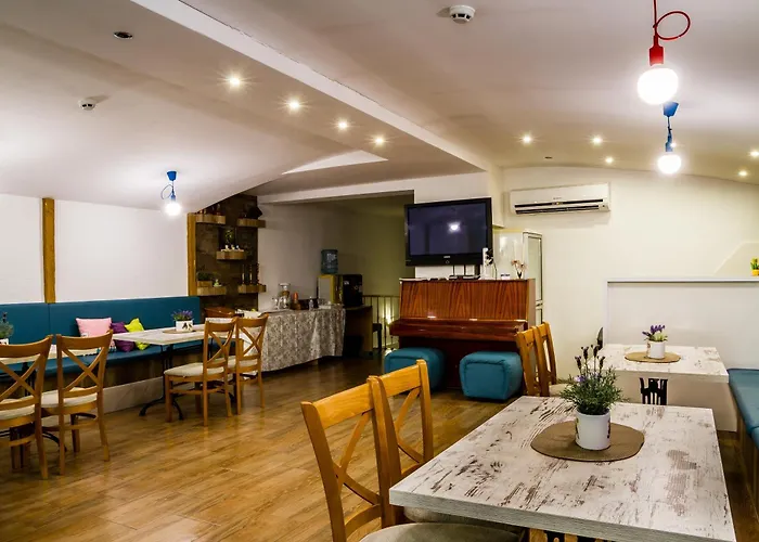 瑟索尼南布尔加斯酒店 招待所 2*