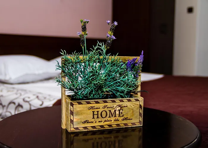 招待所 瑟索尼南布尔加斯酒店 2*